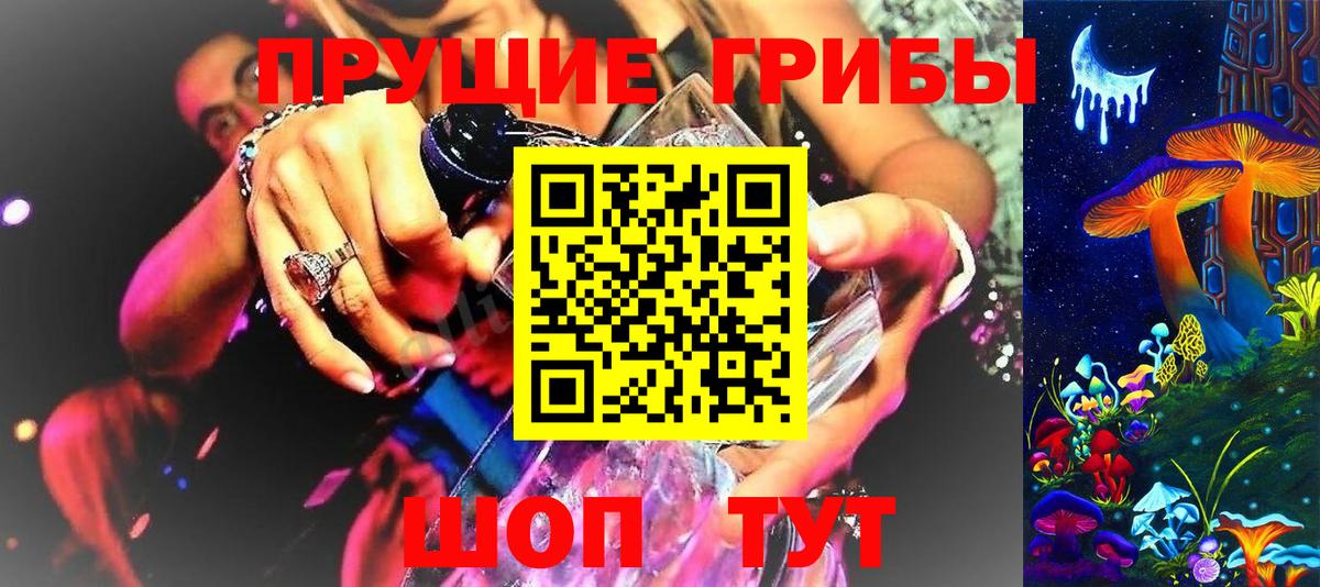 Ипатово  Псилоцибиновые грибы Cubensis  Вход с VPN 